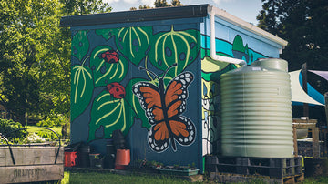 Kerikeri Primary School