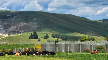 Waiau Community Water Supply